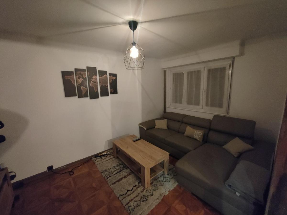 Tres Grand Appartement De 76M2 A Štrasburk Exteriér fotografie